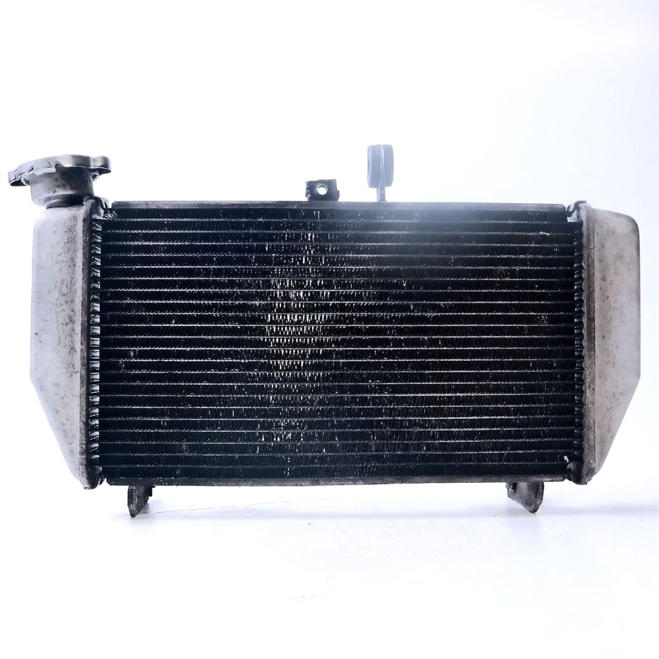 2019 Yamaha YZF R3 ABS Radiator  - 1WDE246100