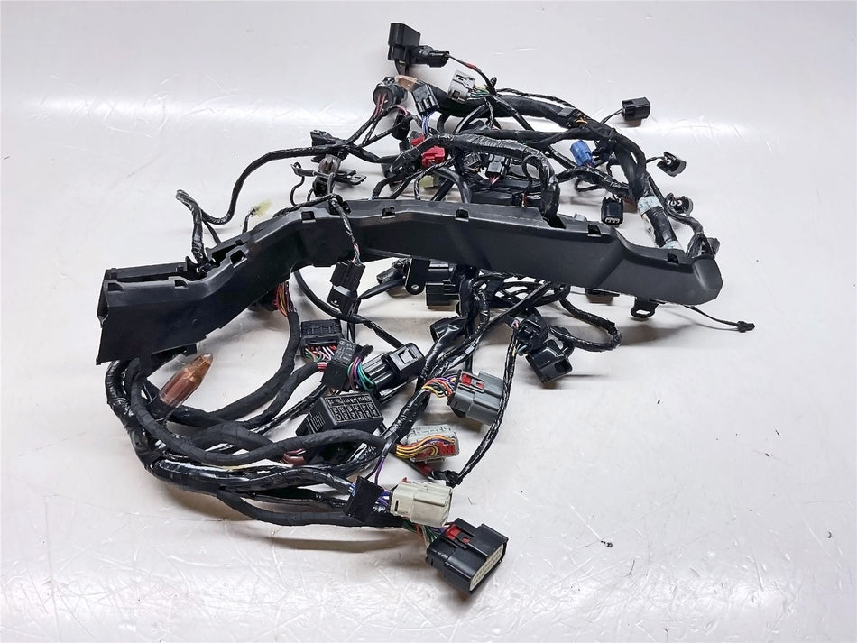 2025 Triumph Tiger 900 Rally Pro Main Wiring Harness Loom - T2504718