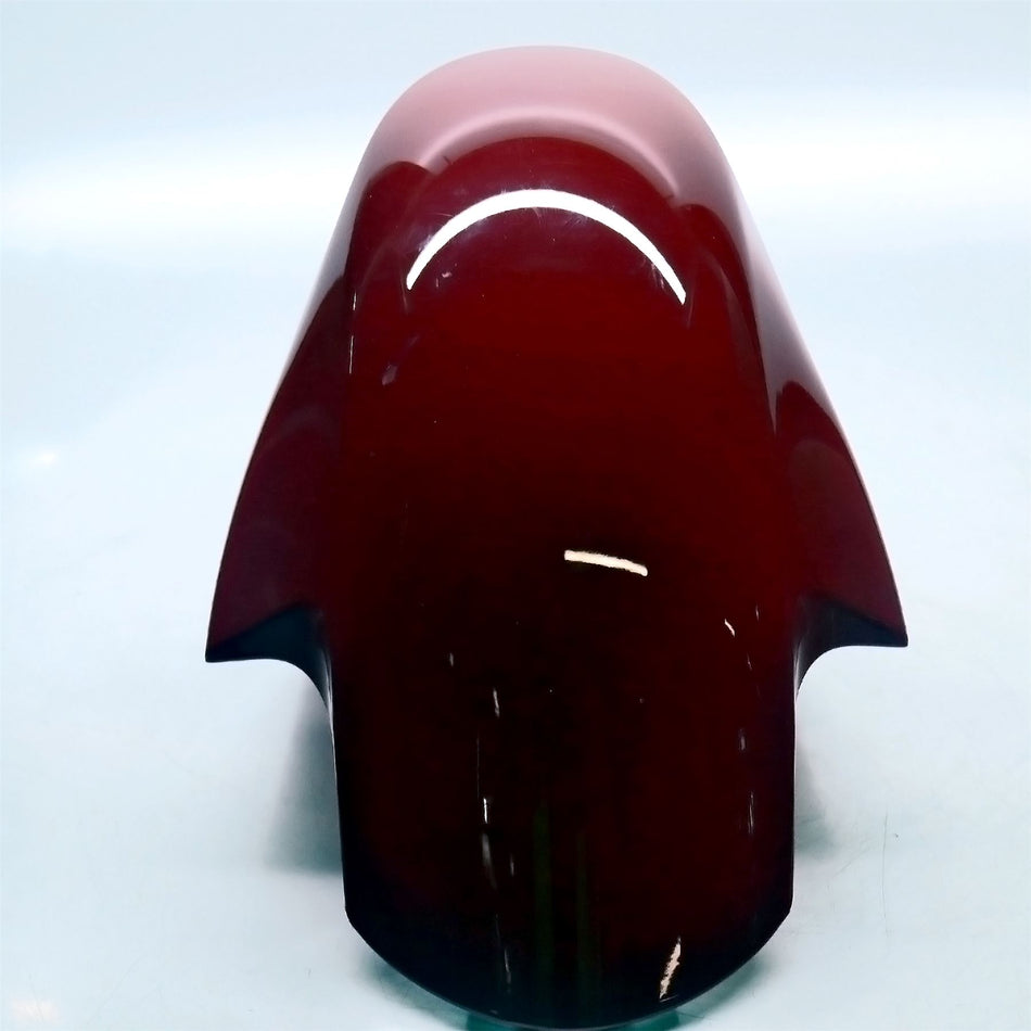 2025 Ducati Panigale V4 Front Mudguard Fender - 56416972AA