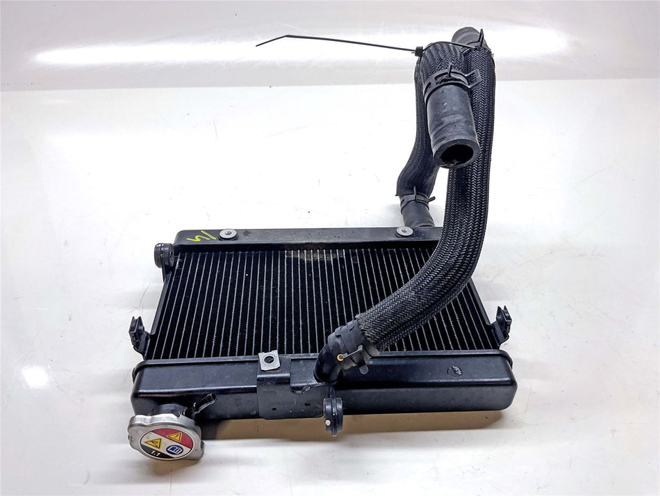 2018 Honda CMX500 REBEL Radiator - 19010-MKG-D51
