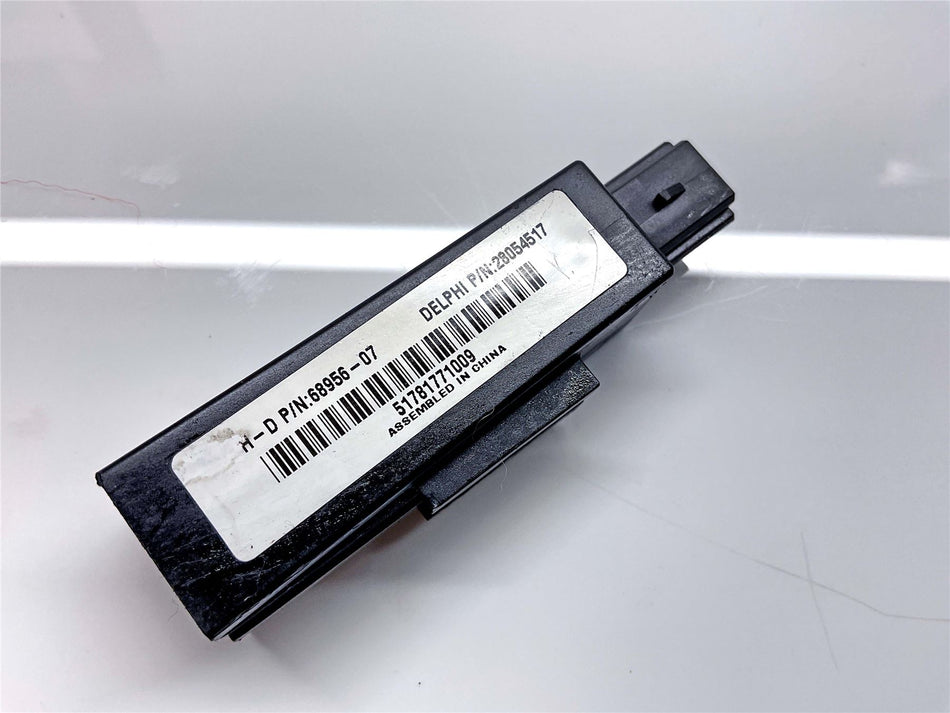 2009 Harley-Davidson Fat Boy FLSTF Security Antenna