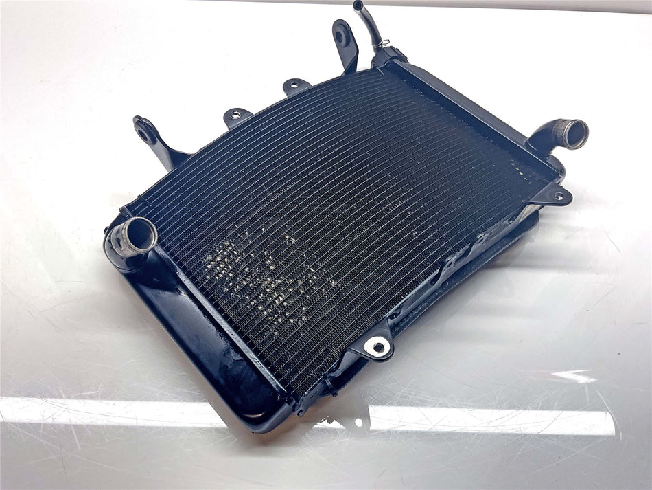 2020 KTM 790 Duke Radiator - 64135010000