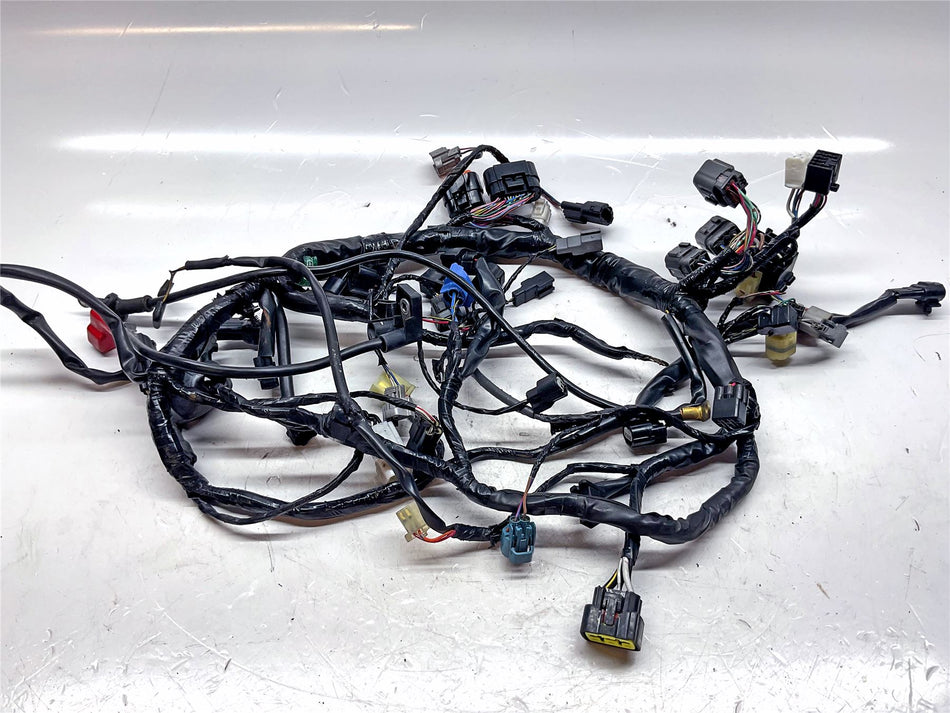 2012 Kawasaki ER-6N Wiring Harness - 26031-1376