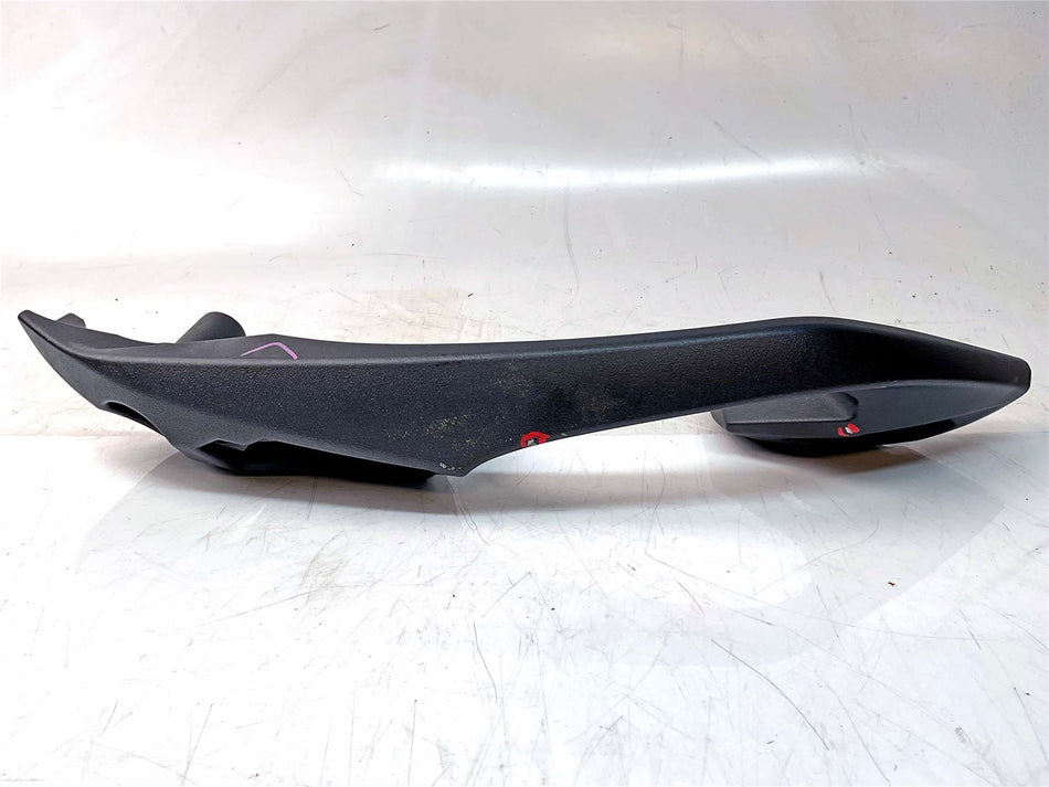 2025 Kawasaki Ninja ZX11 Left Pillion Grab Handle / Rail - 350631358