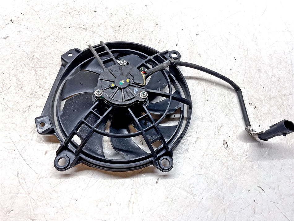 2023 Aprilia RS660 Fan - 2D000572