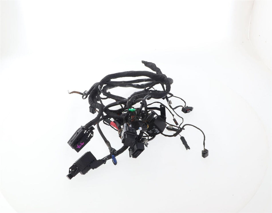 2015-2019 BMW F800 R SPORT Main Wiring Loom - 61118356766