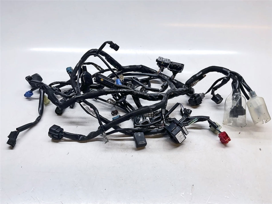2024 Kawasaki ER-6f Main Wiring Harness Loom - 260313989