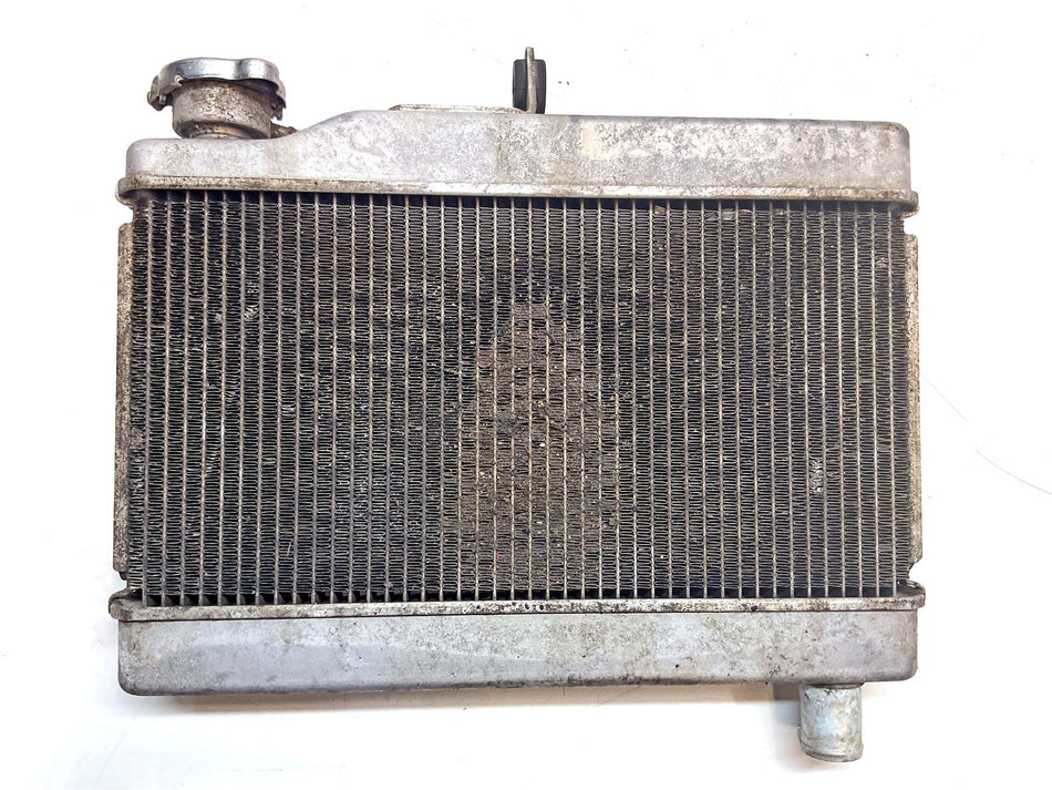 2024 Honda CL500 Radiator - 19010MLPDA1