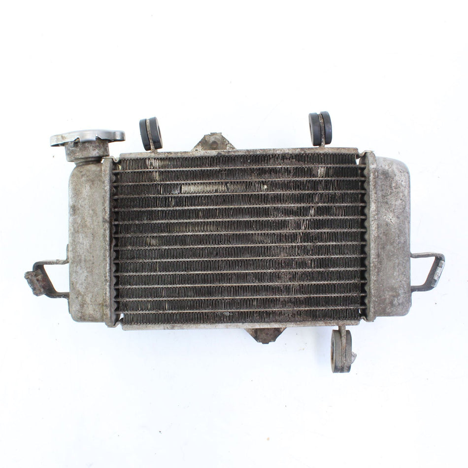 2014-2018 YAMAHA YZF-R125  Radiator W Fan - 5D7E240A10