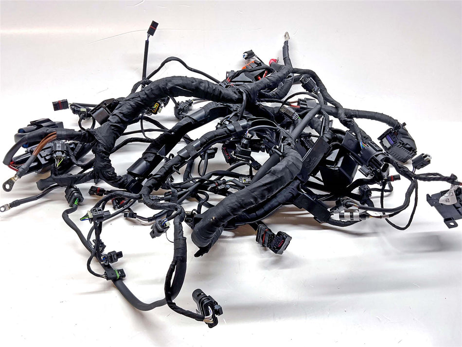 2025 BMW S1000R Sport Wiring Harness Loom - 61115B31426