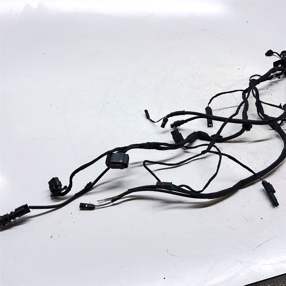 2019 BMW R1250RS Main Wiring Harness - 61119480993