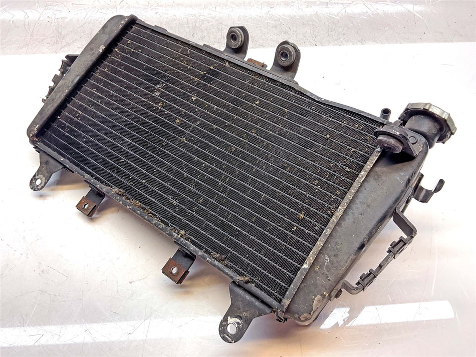2007 Triumph Tiger 1050 Radiator - T2100240