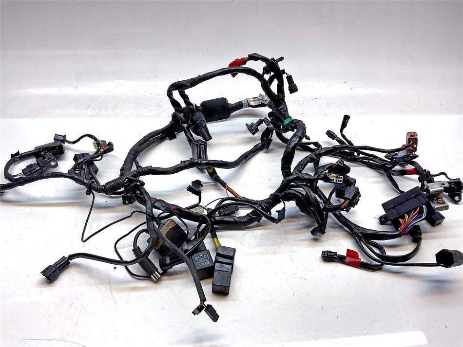 2011 Triumph Bonneville SE Wiring Harness Loom - T2506665