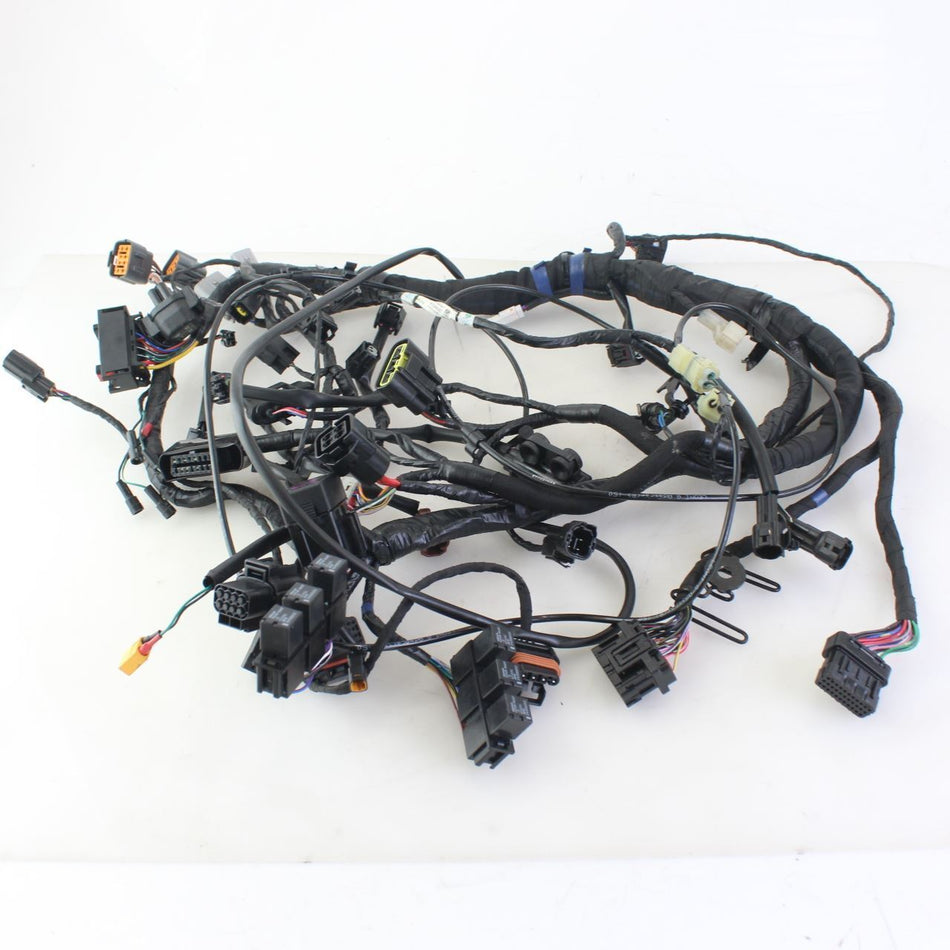 2021-ON TRIUMPH TRIDENT 660 Main Wiring Loom - T2505053