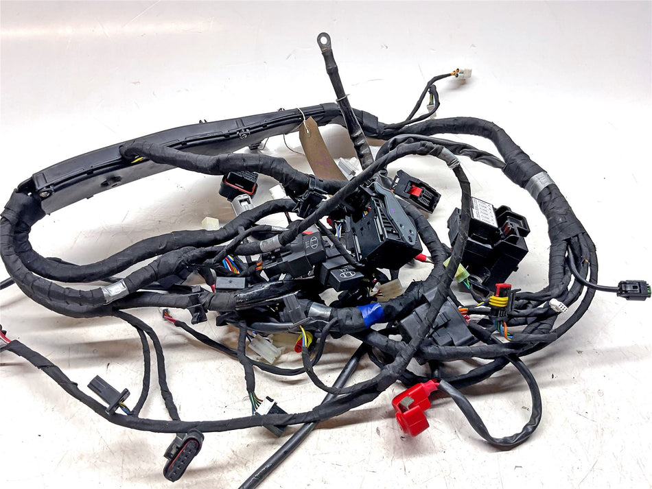 2024 Aprilia RSV4 1100 Factory Main Wiring Harness - 2D000600