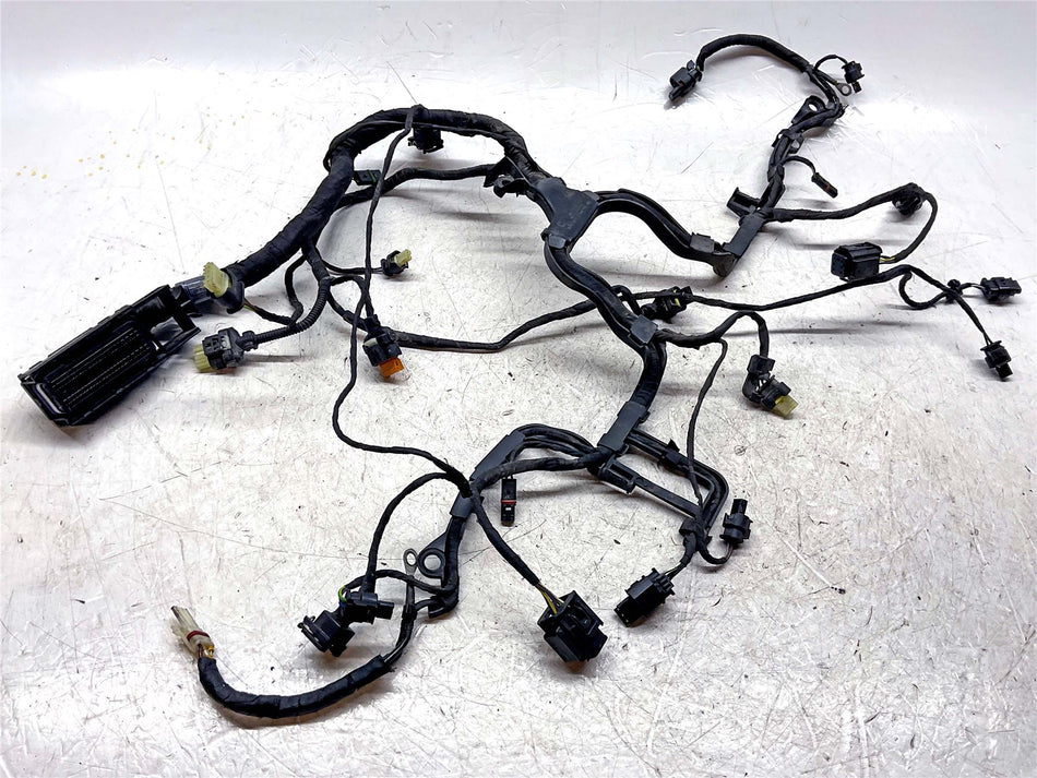 2021 BMW R1250GS Adventure Engine Wiring Harness - 12519480230