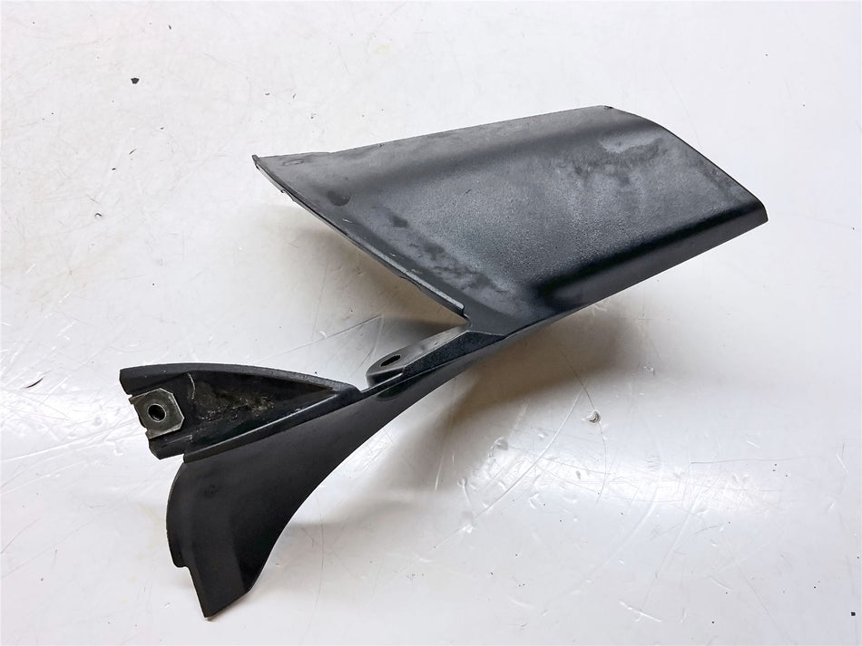 2019 BMW R1250R Left Snorkel Cover - 46638534269