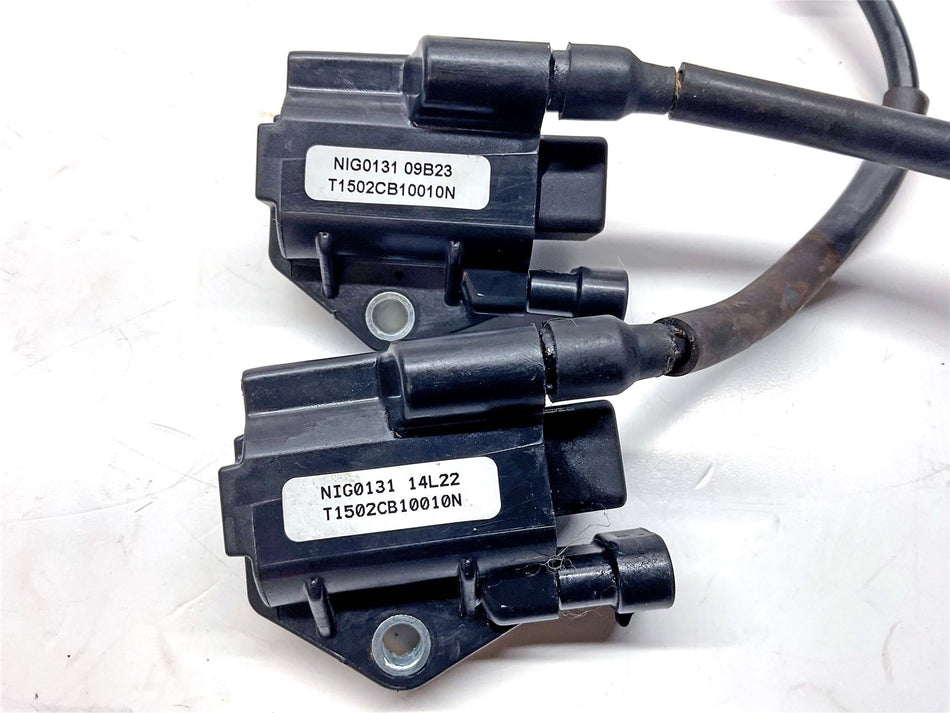 2024 BSA Gold Star 650 Ignition Coils -  T1502CB10010N