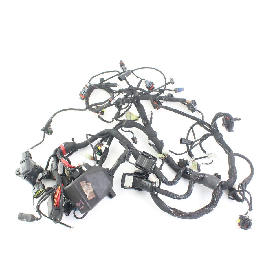 2017-2018 DUCATI MULTISTRADA 950 Main Wiring Harness - 5101B152D