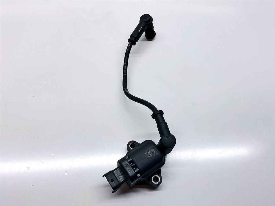 2018 Ducati Multistrada 1260 S Ignition Coil Short - 67110661C