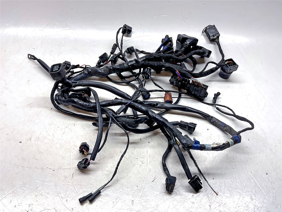 2013 Triumph Speed Triple 1050 Wiring Harness - T2504500