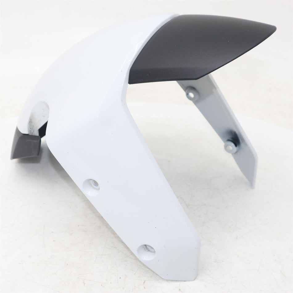 2021 BMW S1000XR Front Fender - 46619445334