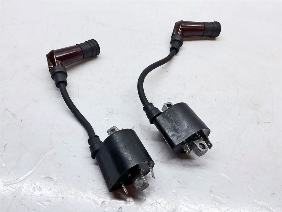 2022 Triumph Speed Twin 1200 Ignition Coils - T1290321