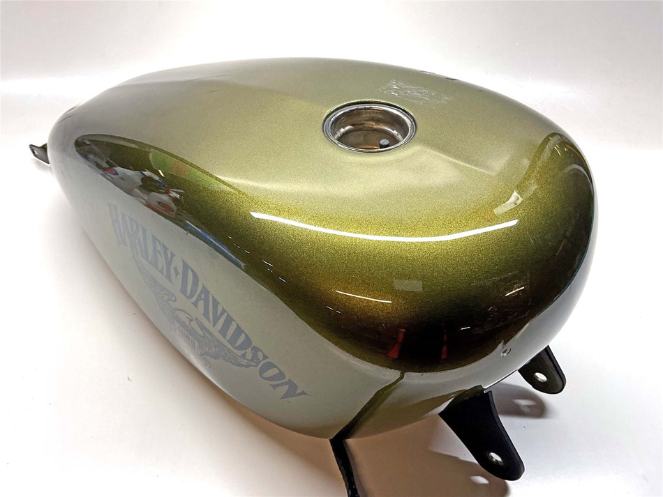2017 Harley-Davidson Iron 883 XL883N Fuel Tank