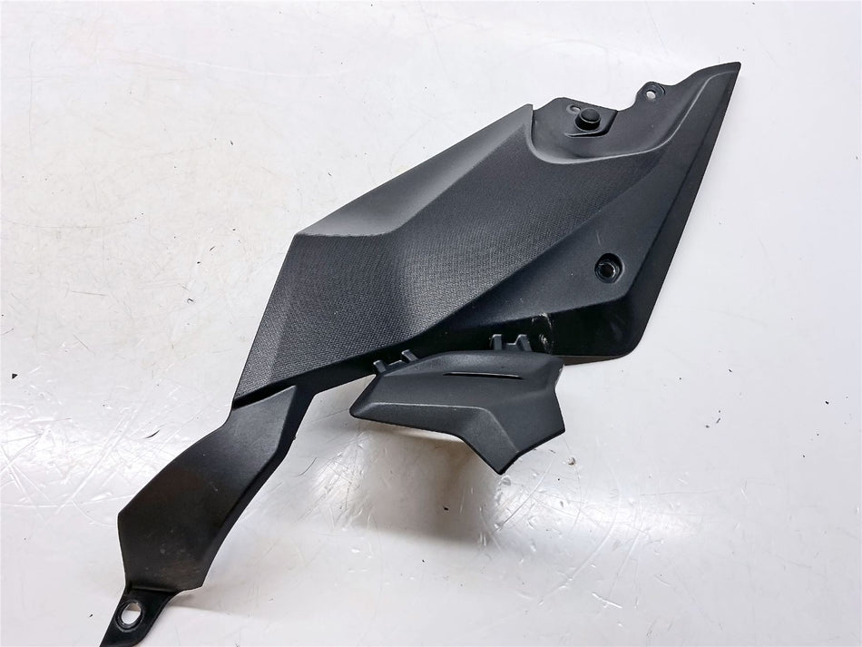 2019 BMW R1250R Left Frame Fairing Panel - 46638534273