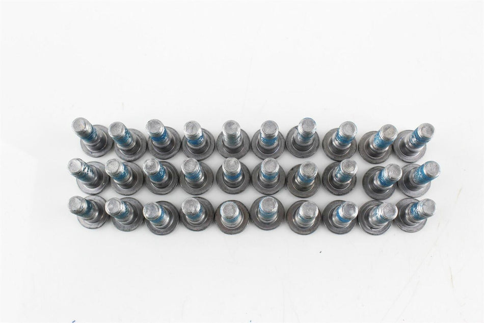 TRIUMPH  Disc Bolts (30) -