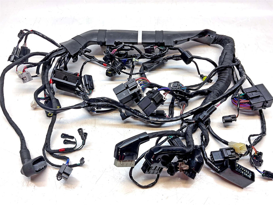 2025 Triumph Bonneville T120 Black Main Harness Loom  - T2502589