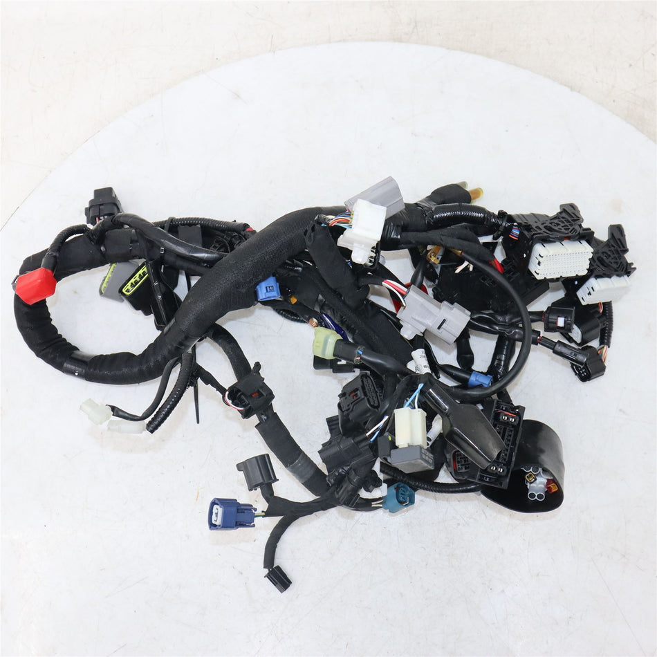 2024 SUZUKI GSX-8S Wiring Harness - 36610-25L00-000