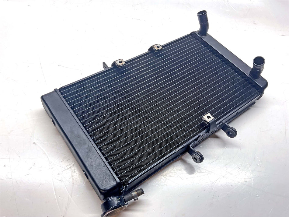 2019 Triumph Tiger 800 XR Radiator - T2100775