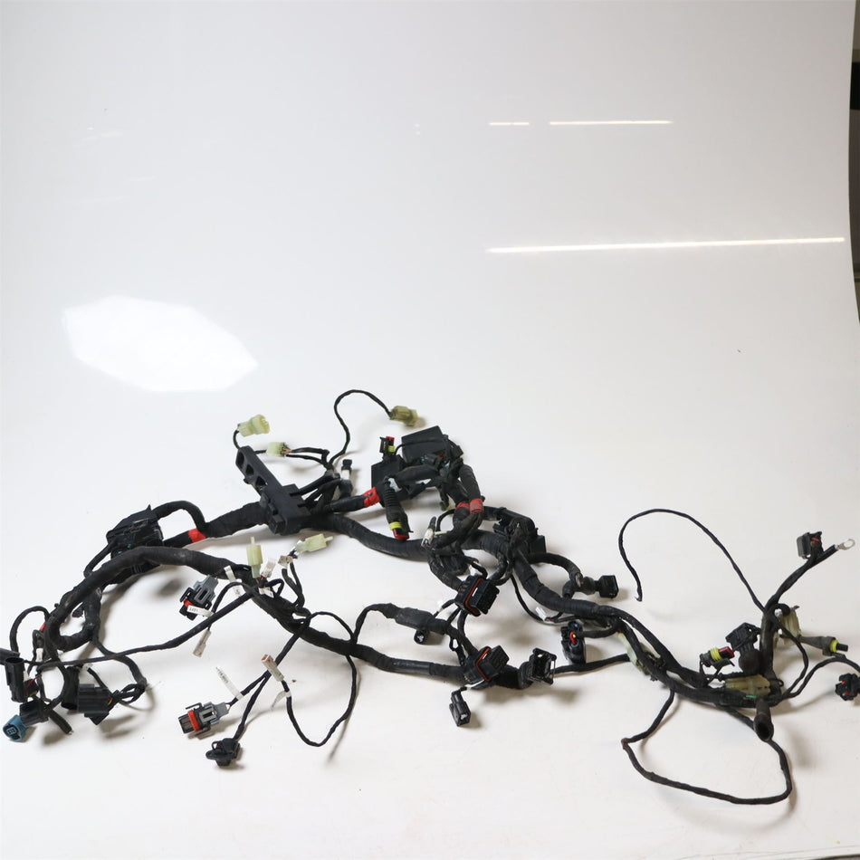 2017 Ducati Super Sport S Main Wiring Harness - 5101B191D