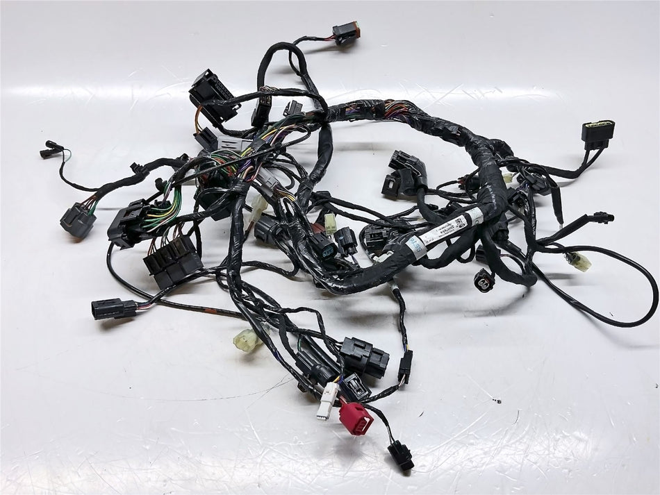 2024 Triumph Street Triple 765 R Main Wiring Harness - T2509765