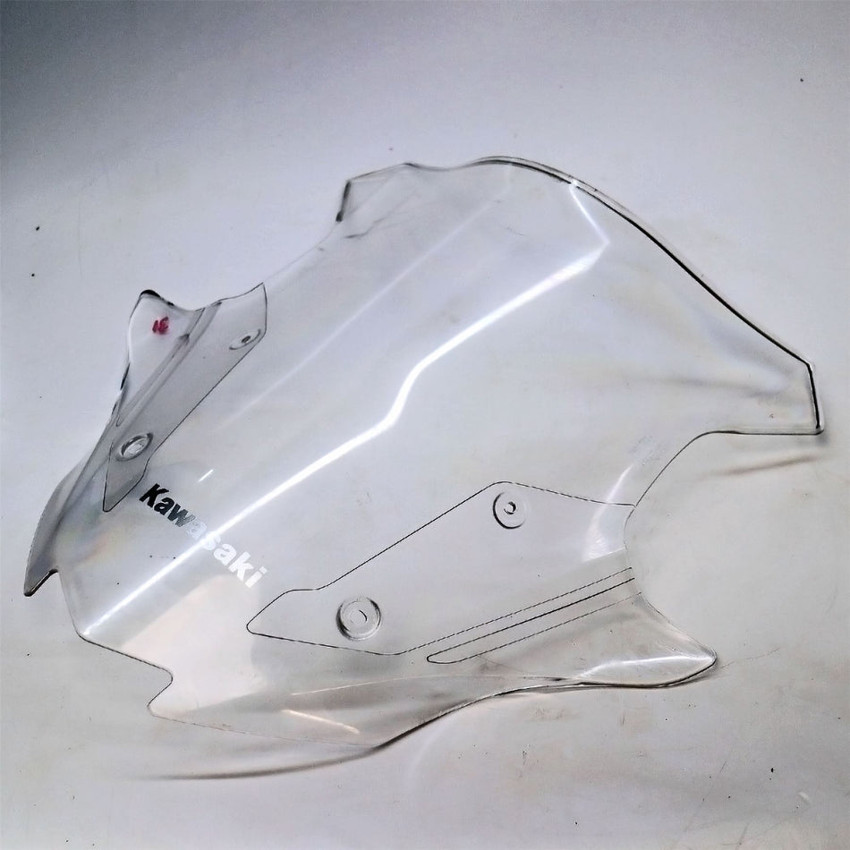 2024 Kawasaki KL650 Screen - 391540415