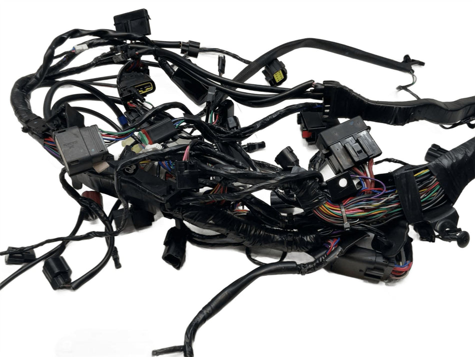 2024 Triumph Speed Triple 1200 Wiring Harness Loom T2501740
