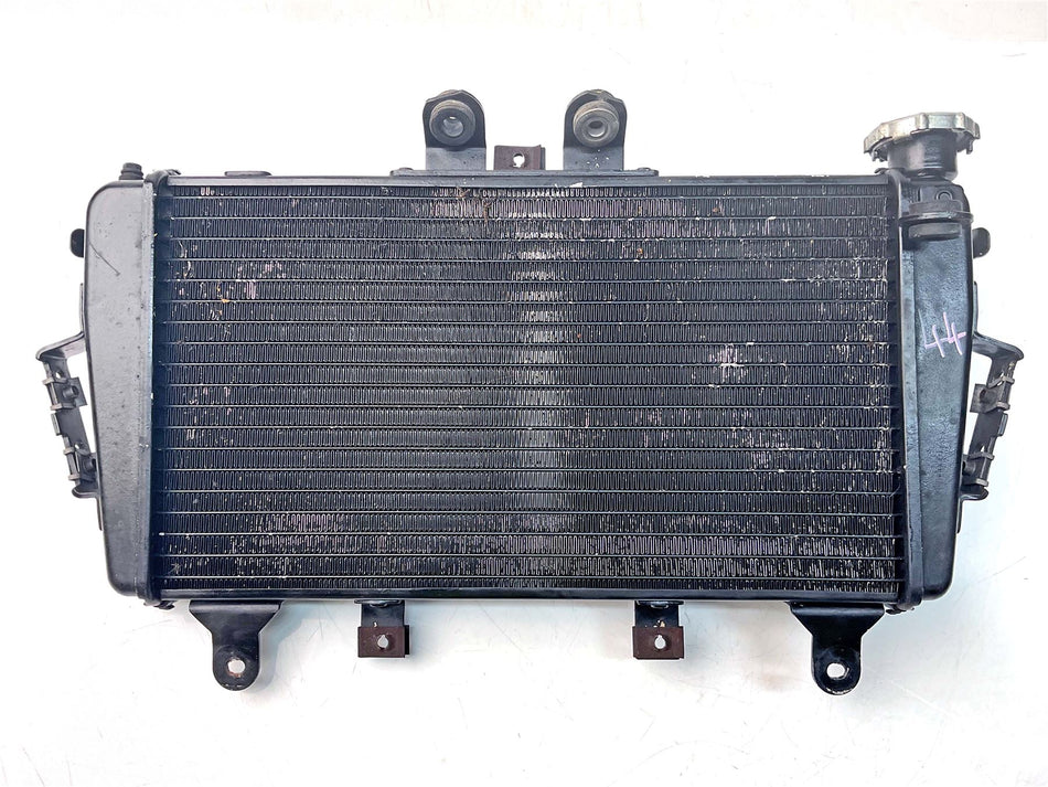 2009 Triumph Tiger 1050 Radiator - T2100240