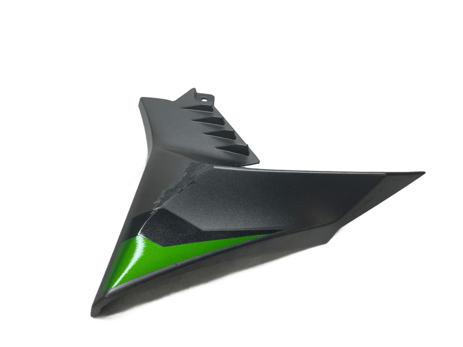 2023 Kawasaki Z900 Left Side Fairing 491250016