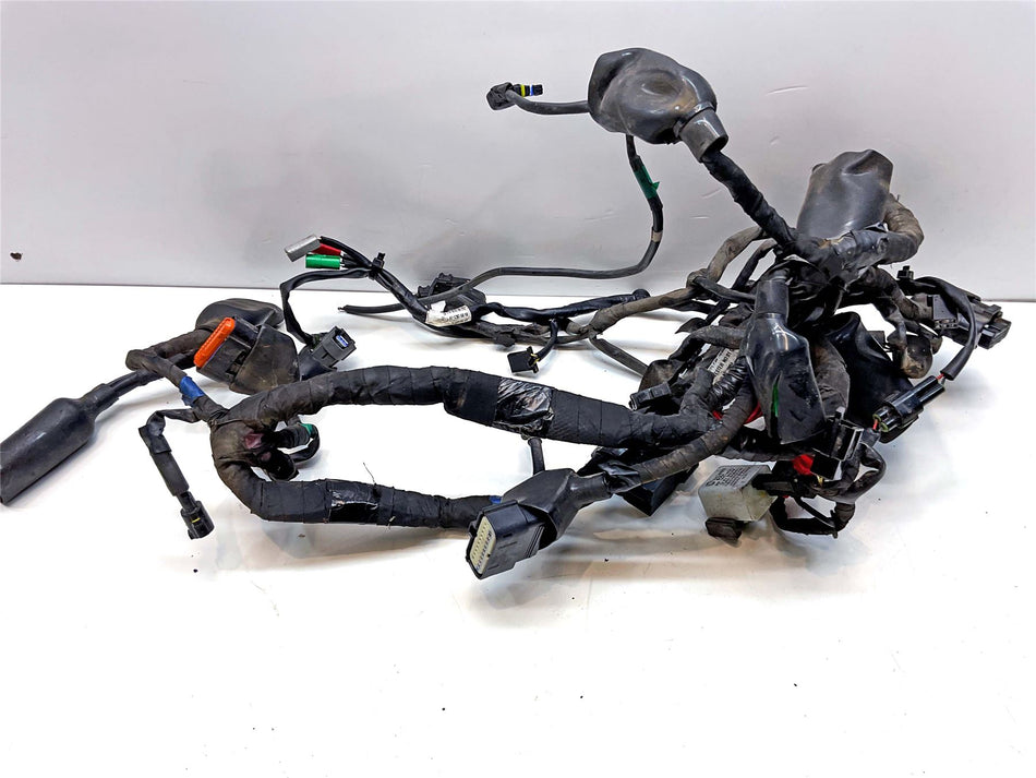 2023 Royal Enfield Himalayan Wiring Harness Loom - 1017024E