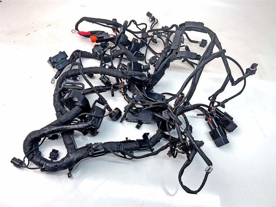 2024 BMW S1000RR Sport Wiring Harness Loom - 61117108540