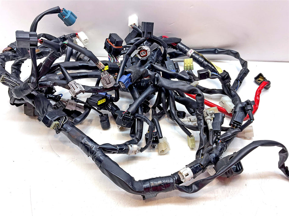 2015 Yamaha MT-09 Wiring Harness Loom - 2DR825902100