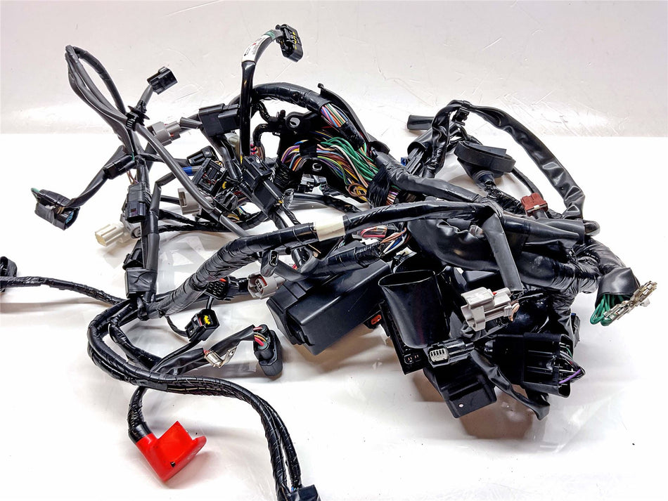 2025 Honda CB1000 HORNET SP Wiring Harness Loom - 32100MLLD10