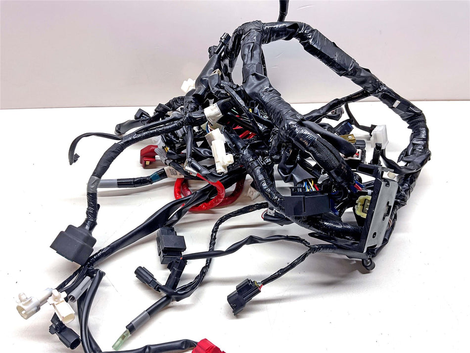 2023 Yamaha XSR900 Wiring Harness Loom - BMS825900100