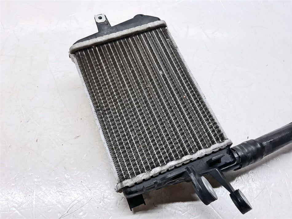 2019 BMW R1250GS Adventure Left Radiator - 17118546408