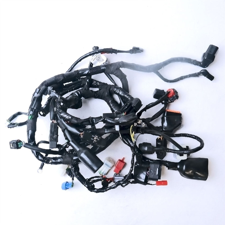 2023 Royal Enfield Hunter 350 Main Wiring Harness - RAC00891