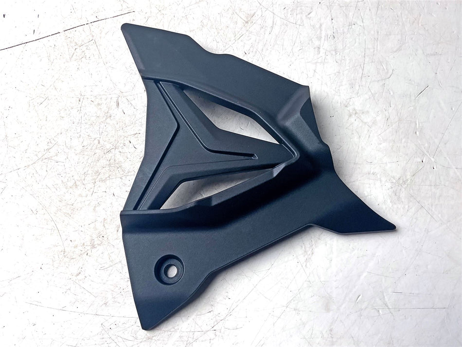 2025 BMW S1000R Front Sprocket Cover - 33818394320