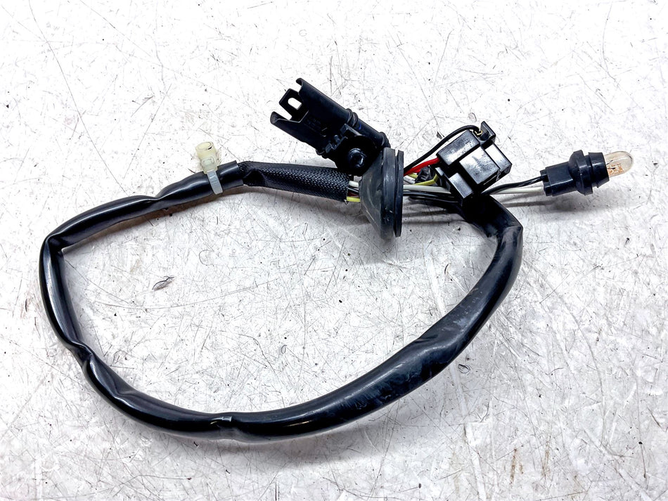 2016 BMW R Nine T Tail Part Harness - 61118548705