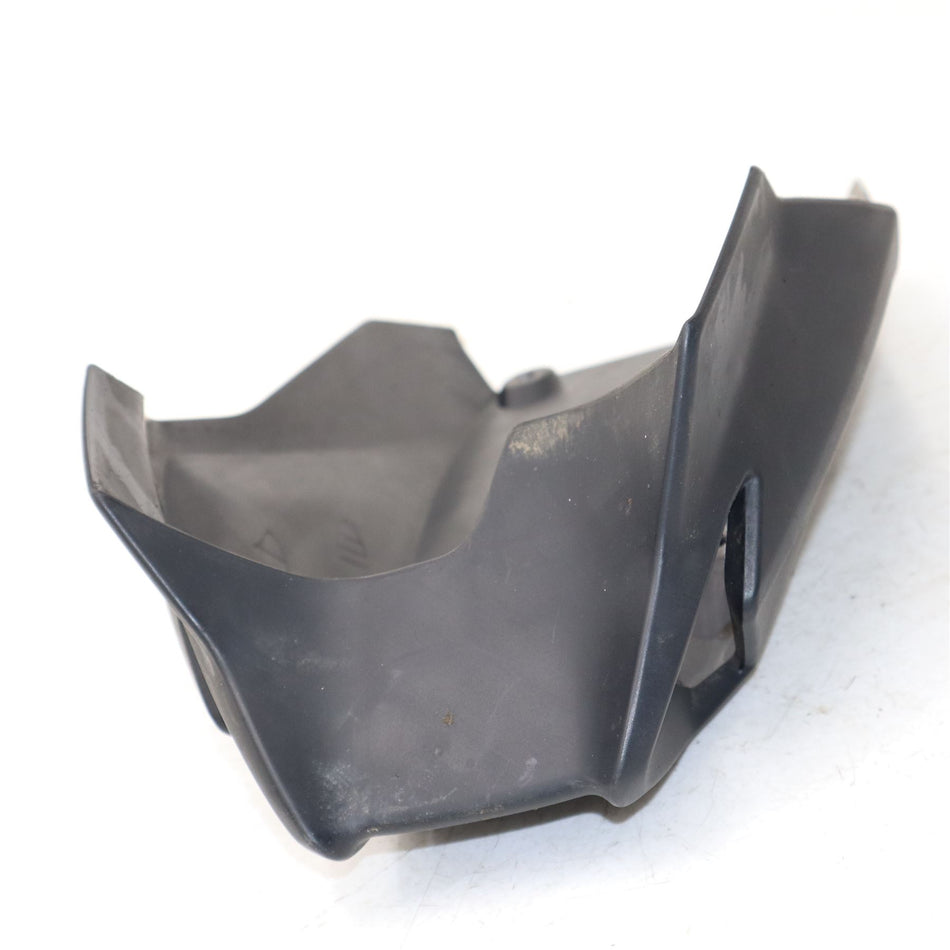 2021 BMW G310R Bellypan - 46638556888