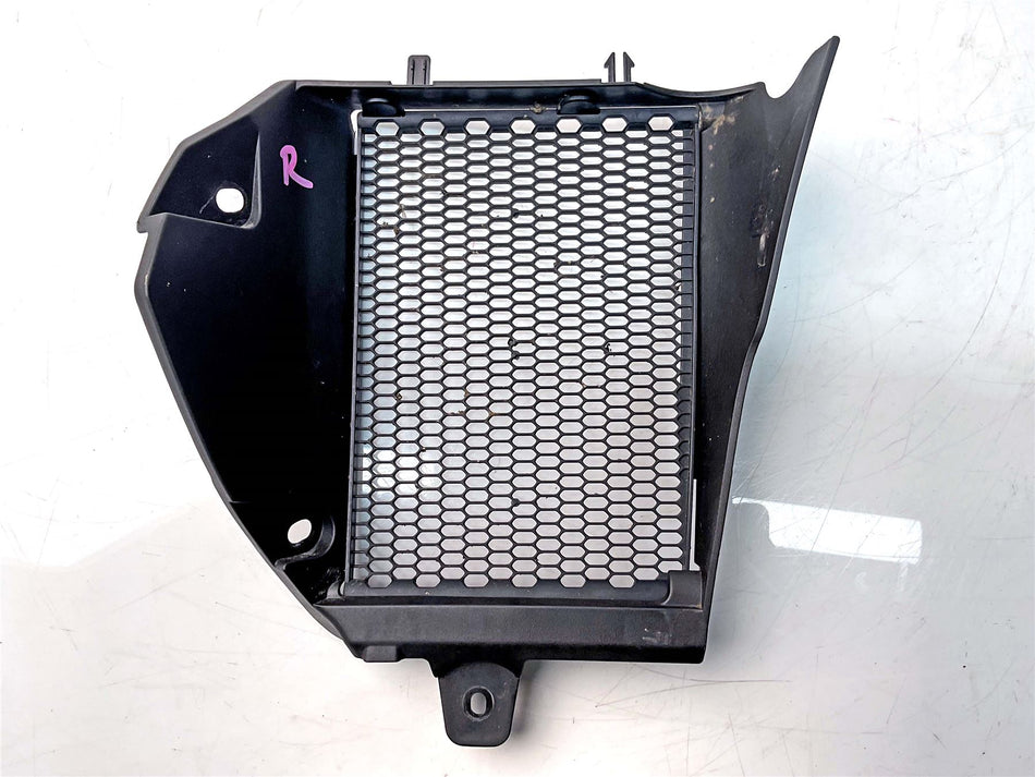 2024 BMW R1250GS Adventure Radiator Guard - 46638556648